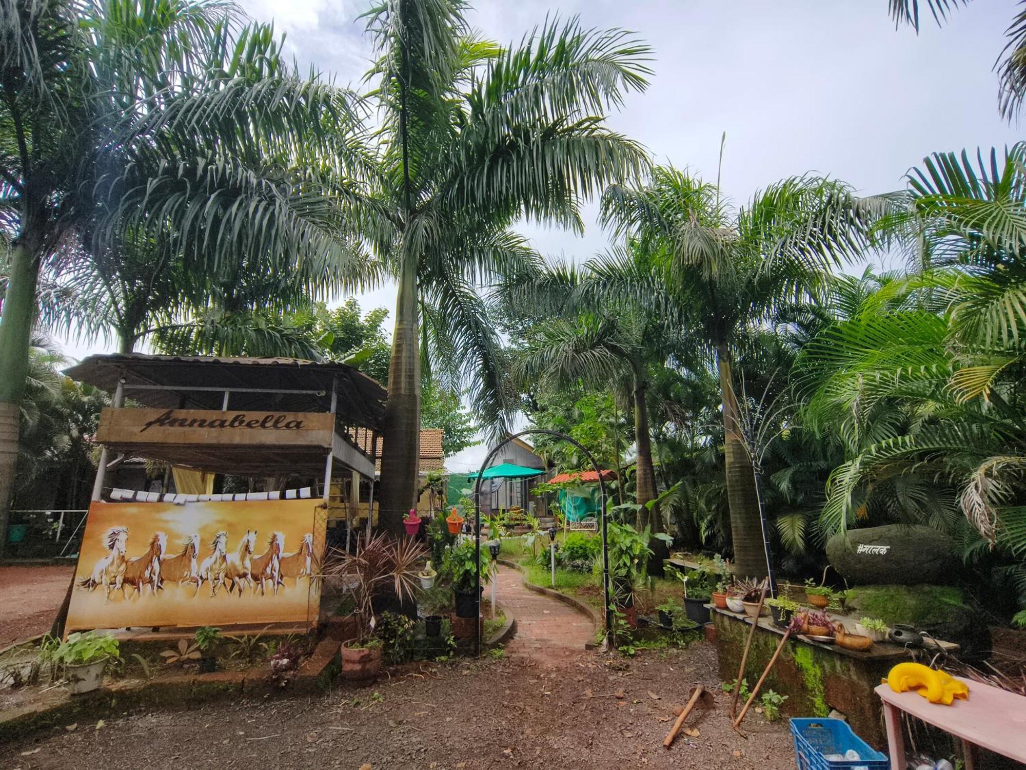 Annabella Resort, Guest House Khakurla エクステリア 写真